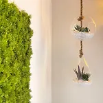 Regina Di - Private Garden, Free Undercover Parking דירה לאליו